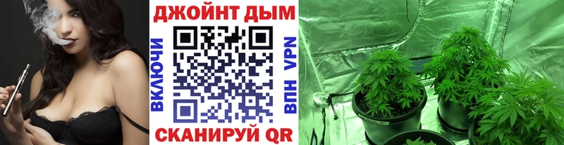 Бошки Шишки OG Kush Пятигорск